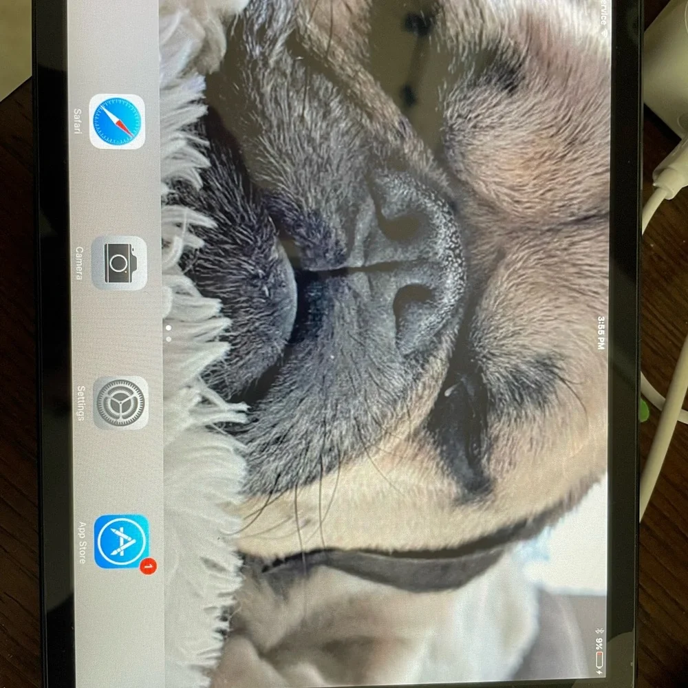 iPad mini 1st generation WiFi + cellular (model A1455) black 16GB
